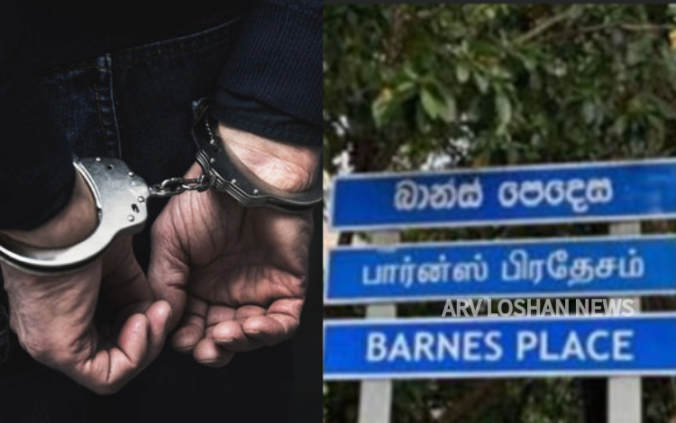 arvloshan.com