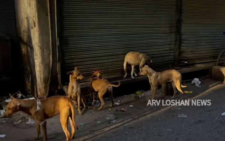 arvloshan.com