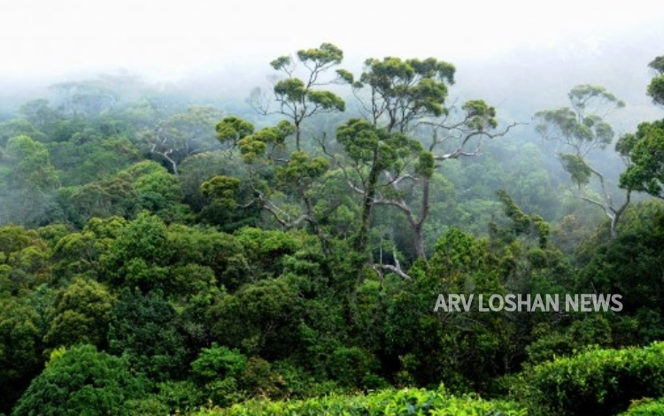 arvloshan.com