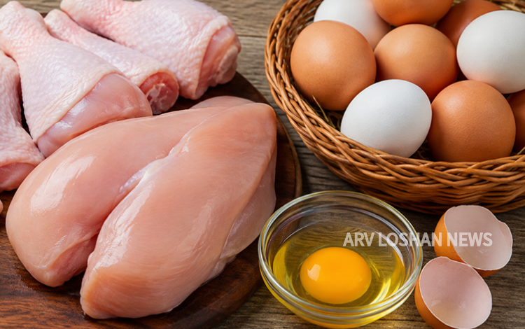 arvloshan.com