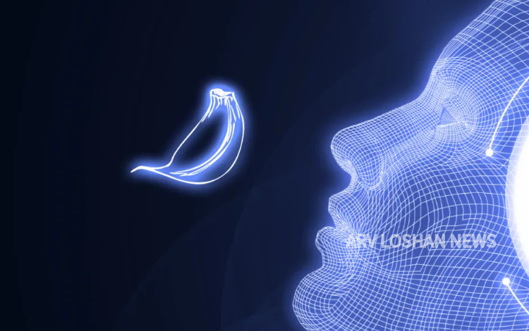 arvloshan.com