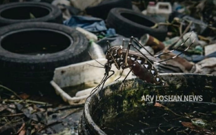 arvloshan.com