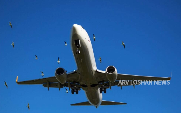 arvloshan.com