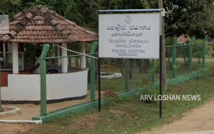 arvoshan.com